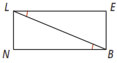 Activity 2